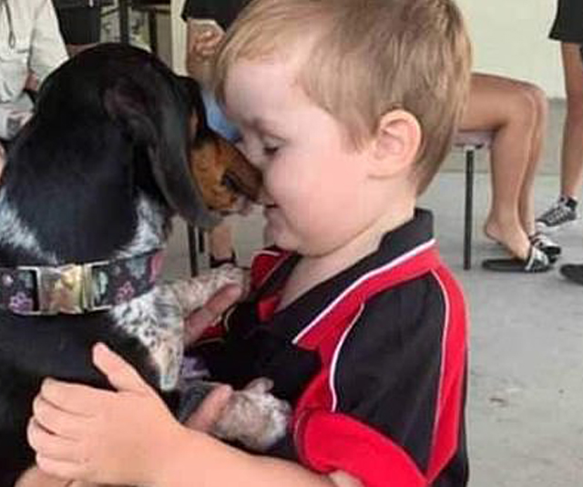 Meningococcal tragedy: A QLD family mourn the loss of their little boy who contracted the deadly disease this week