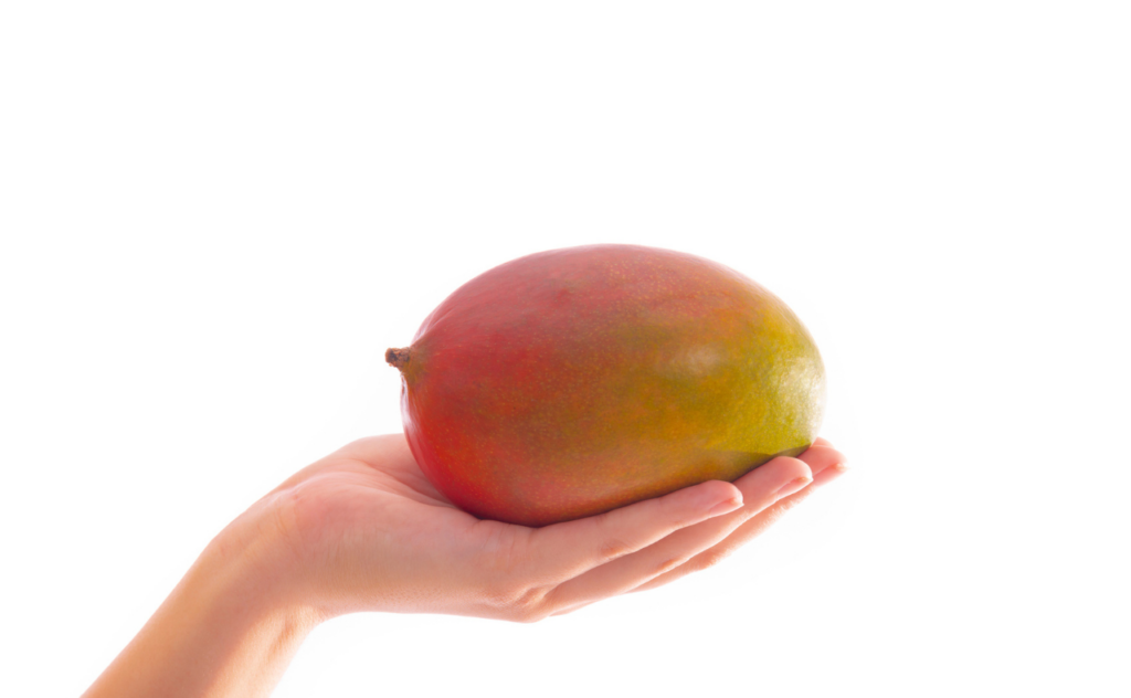 Hand holding up a mango, which is about the size of 19-week unborn baby