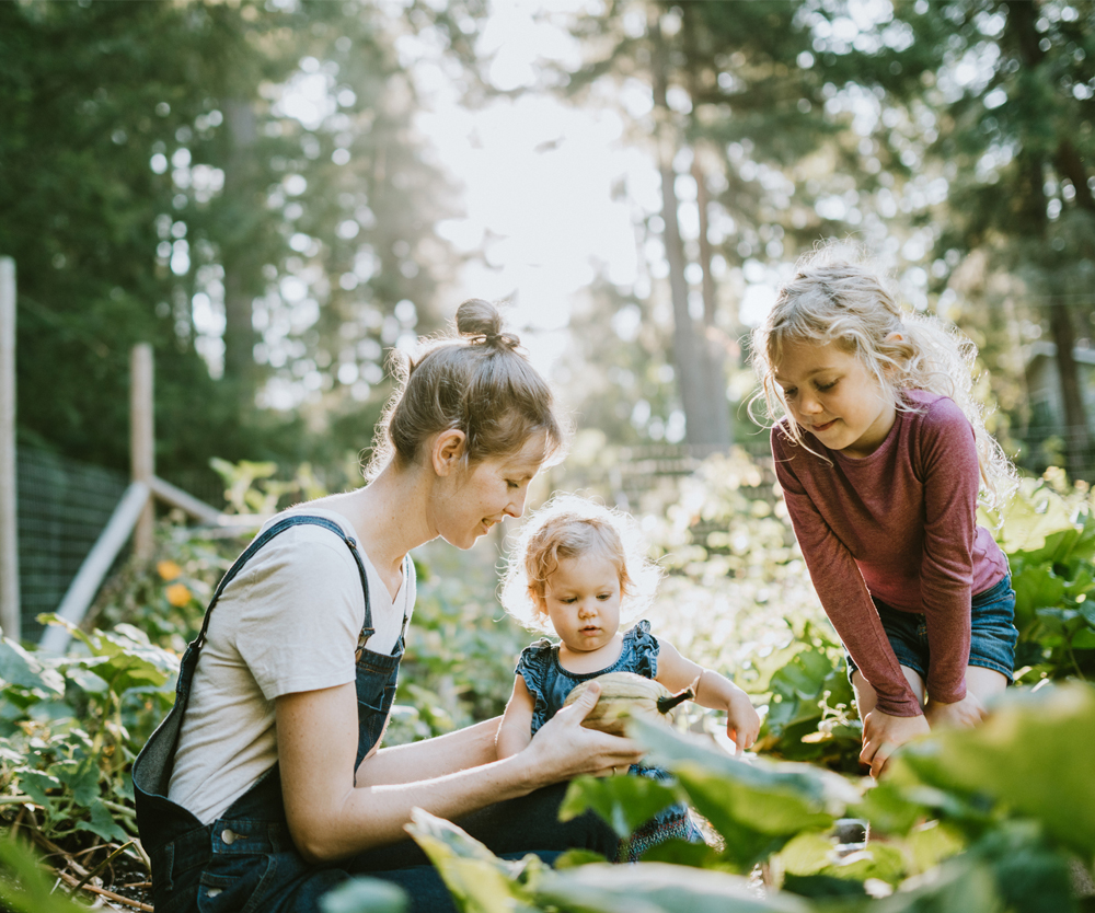 Spring has sprung: It’s time to build your organic veggie garden and reap the rewards