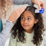 How to treat the new breed of ‘super’ head lice that are resistant to store-bought products