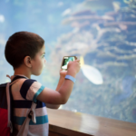 Small boy takes photo at aquarium in school holidays