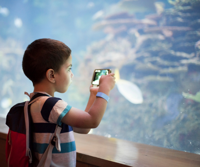 Small boy takes photo at aquarium in school holidays