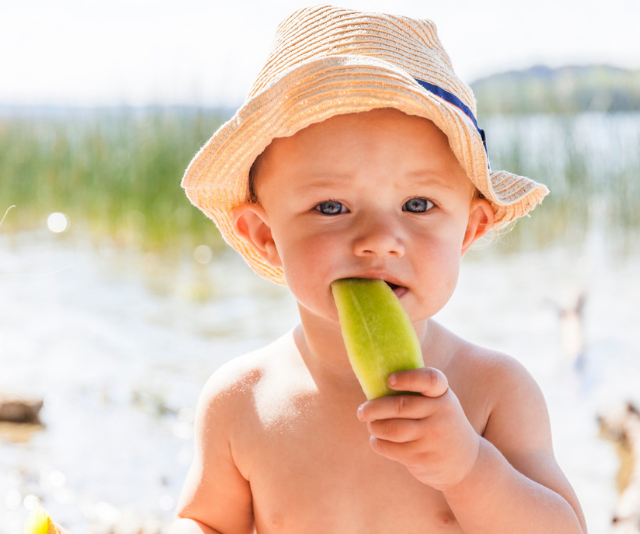 Cute teething baby sitting on beach wearing a straw sun hat while sucking on a slice of cucumber.