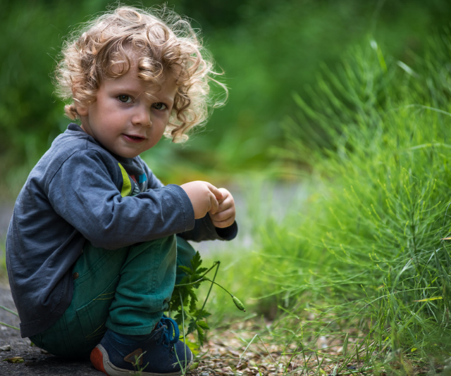 Cute curly haired toddler squatting on the ground amongst green grass
