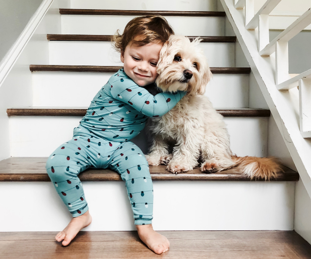 Cute baby boy wearing teal coloured onesie sitting on bottom step while hugging a fluffy white dog around the neck.