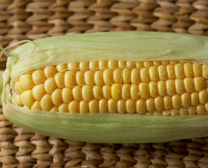 Sweetcorn as a finger food