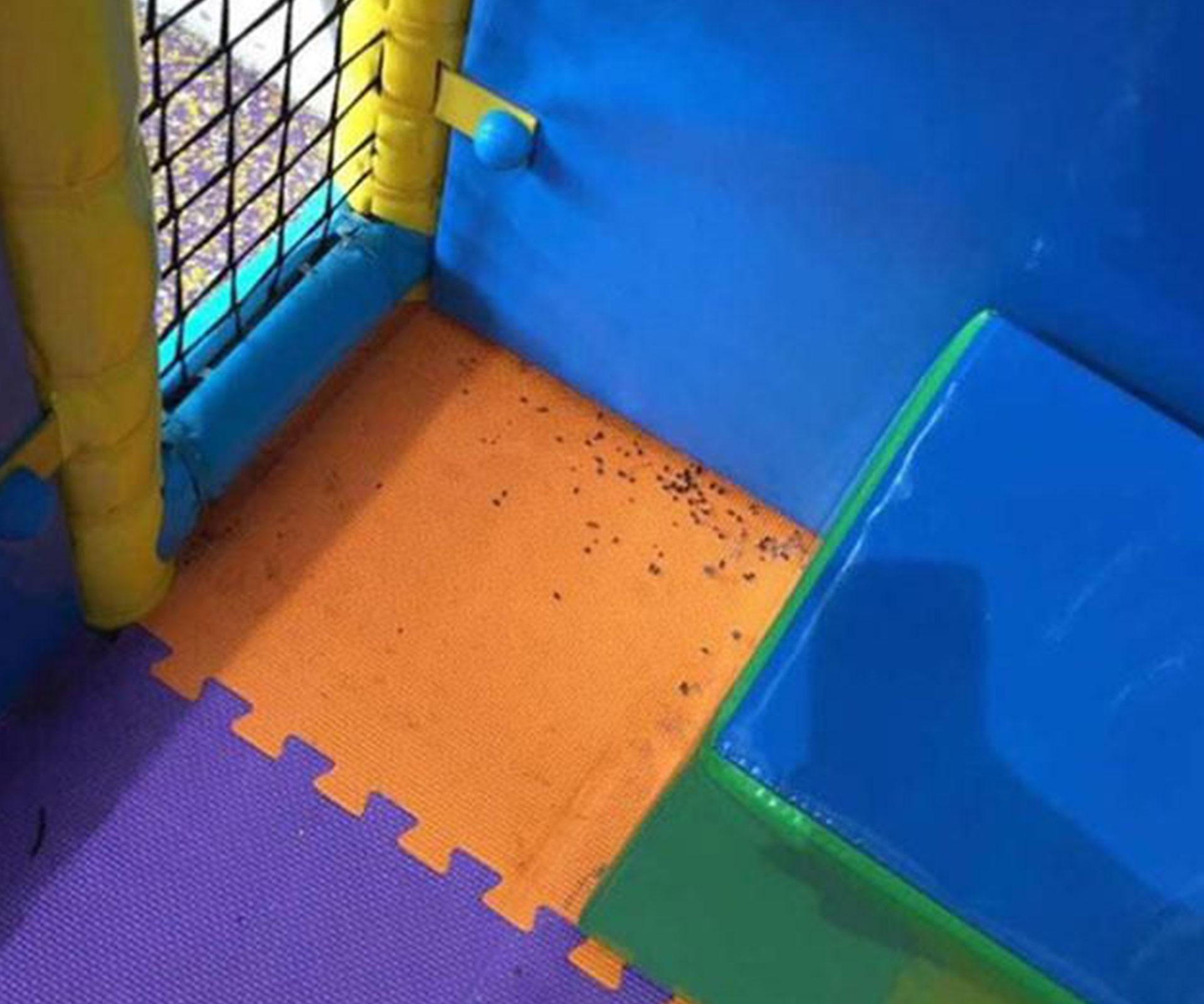 Melbourne mum finds rat droppings