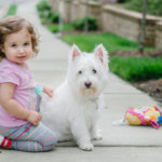 Best dogs for babies