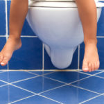 toilet training seats