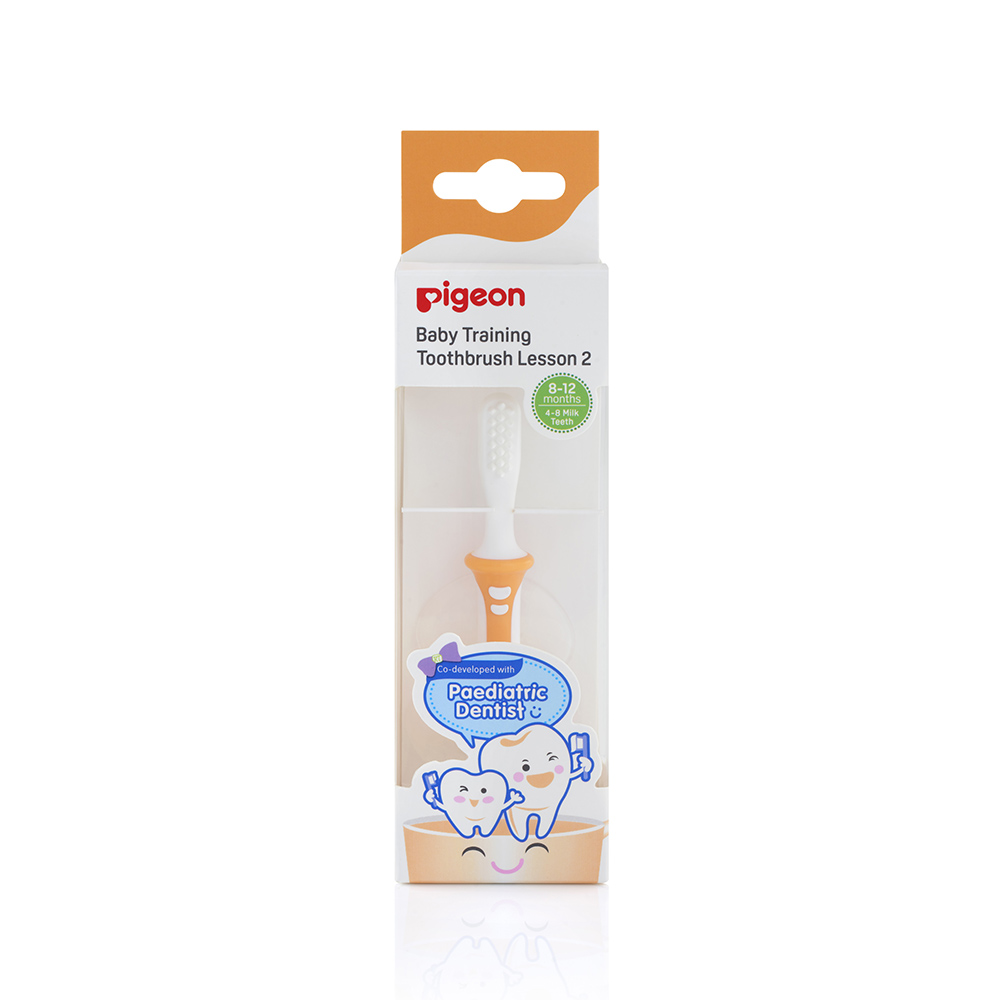 Pigeon Training Toothbrush – Step 2