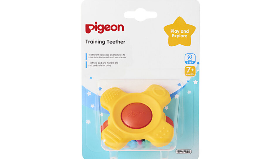 Pigeon Training Teether – Step 2