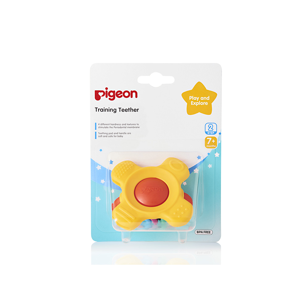 Pigeon Training Teether – Step 2
