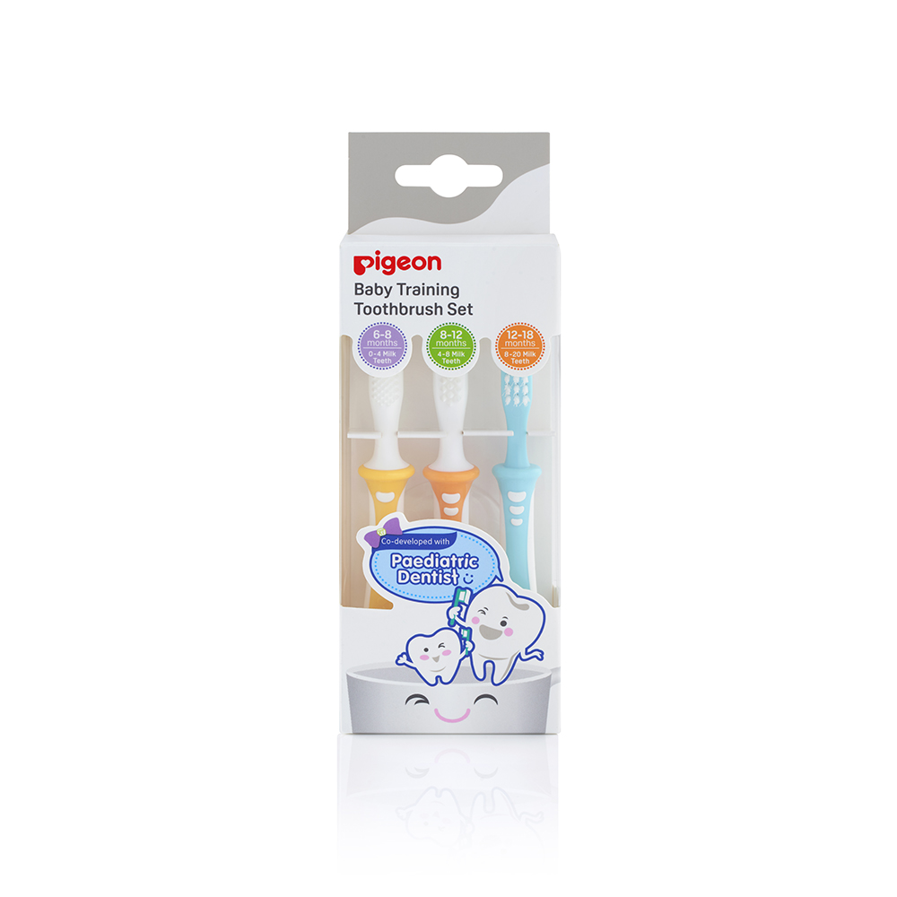 Pigeon Training Toothbrush – Step 1 2 3