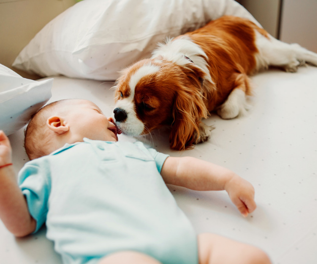 baby with puppy