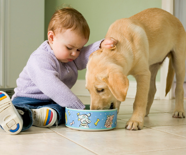 baby with puppy