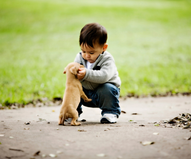 baby with puppy