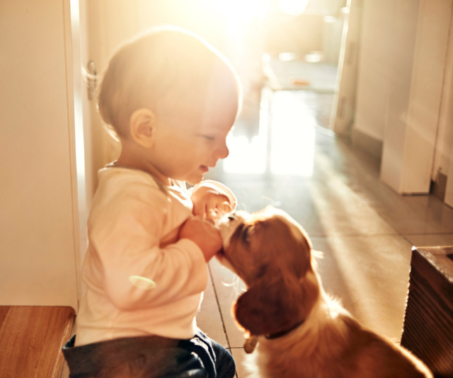 baby with puppy