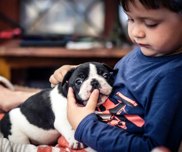 baby with puppy