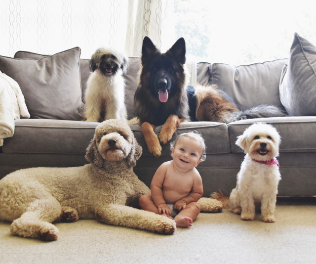 baby with puppy