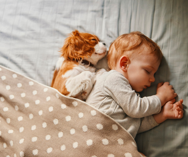 baby with puppy