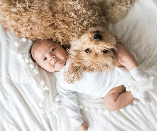 baby with puppy