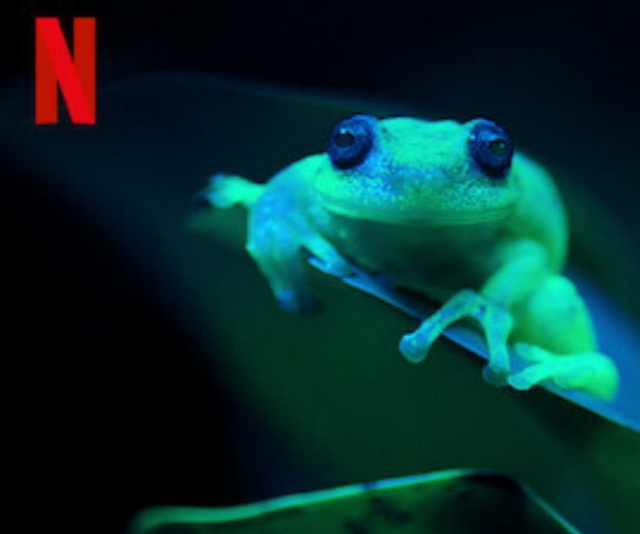 Night on Earth best educational shows on Netflix