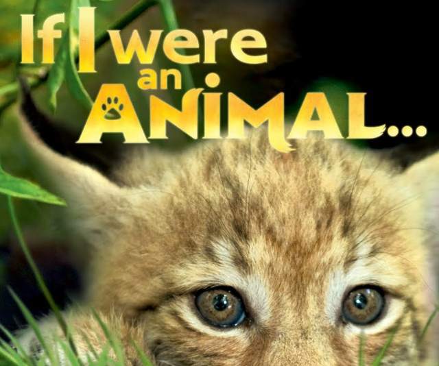If I were an Animal is one of best educational shows on Netflix