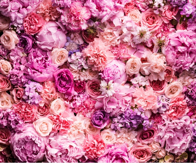 Roses