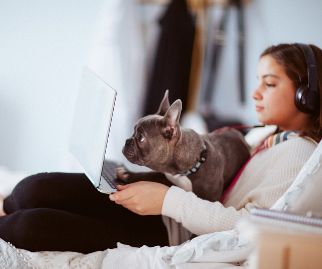 Young girl using laptop