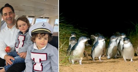 Wippa narrates Penguin Parade Bedtime Stories