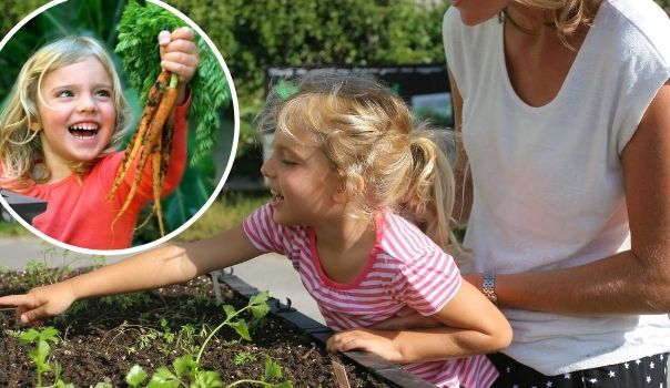 How to create a kid-friendly vegetable garden in your backyard – it’s easier than you think!
