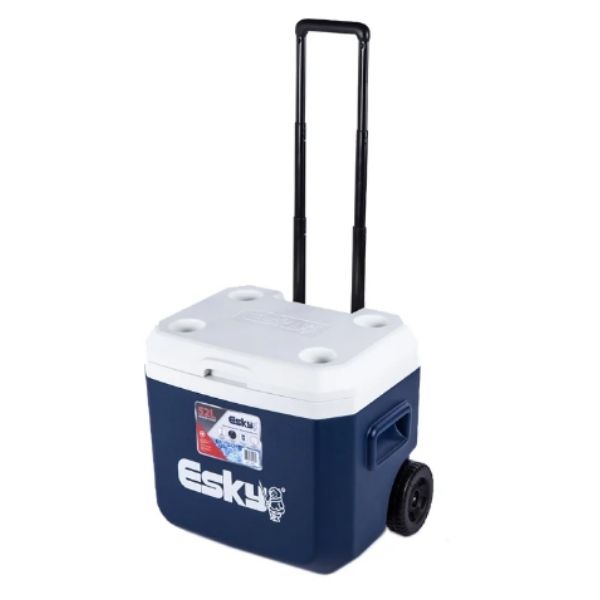 Bunnings esky