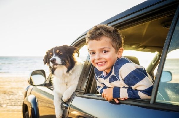 The benefits of owning a pet and how to teach your children about pet care
