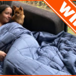 WIN A CUDDLE BUDDY PRIZE PACK!