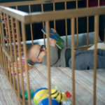 Babies and toddlers are at an alarming risk after 13 playpens failed CHOICE’s key safety tests