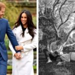 Prince Harry and Duchess Meghan are expecting their second child