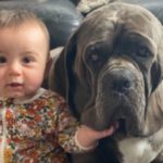 The top baby and pet names currently trending in Australia