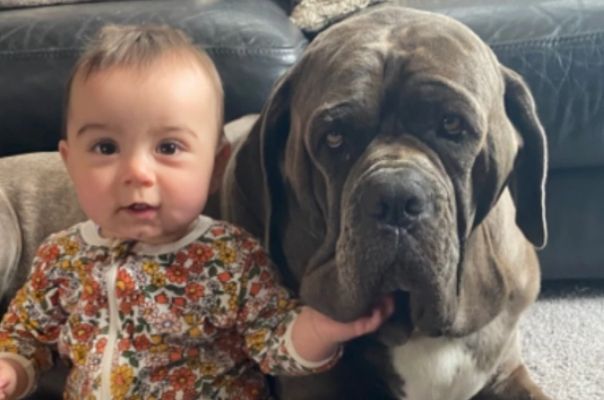 The top baby and pet names currently trending in Australia