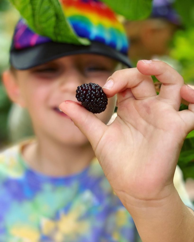 Small boy holds up berry at Tropical Fruit World