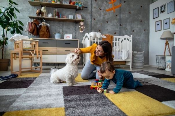 The gross reason to vacuum your home regularly (Hint: It involves dust mites and their poo!)