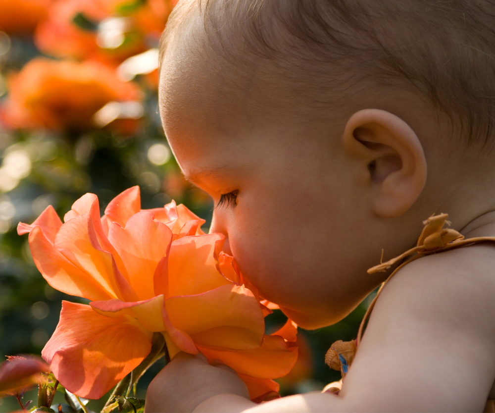 40 beautiful flower baby names for girls and boys Bounty Parents