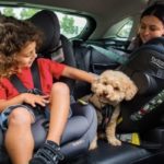 Clicktight: The clever car seat system that allows for safe and secure installation every time