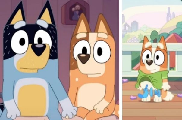 The viral TikTok theories that has fans believing Bluey might be a ‘rainbow baby’ and that Bandit’s dad is dead
