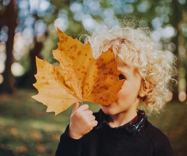 What is ‘rewilding’ and why Aussie kids need to get back to nature
