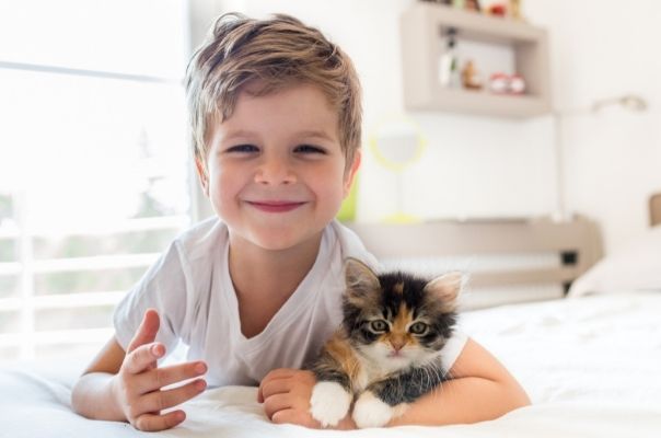 The top three child-friendly cat breeds, according to an animal behaviourist