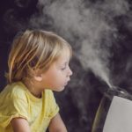 8 of the best dehumidifiers for humidity or rainy days