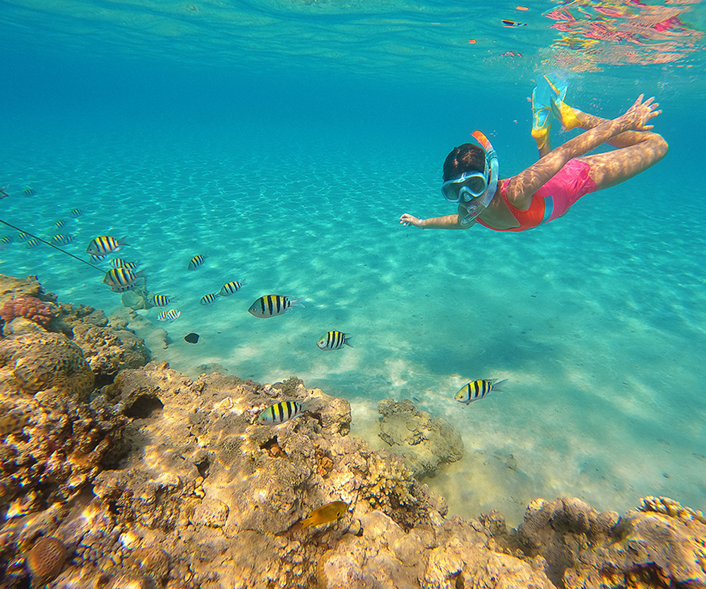 Small girl in pink swimsuit snorkelling in the Great Barrier Reef