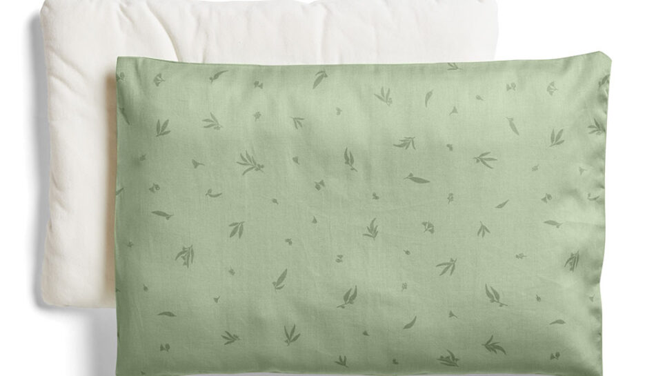 ergoPouch Organic Toddler Pillow