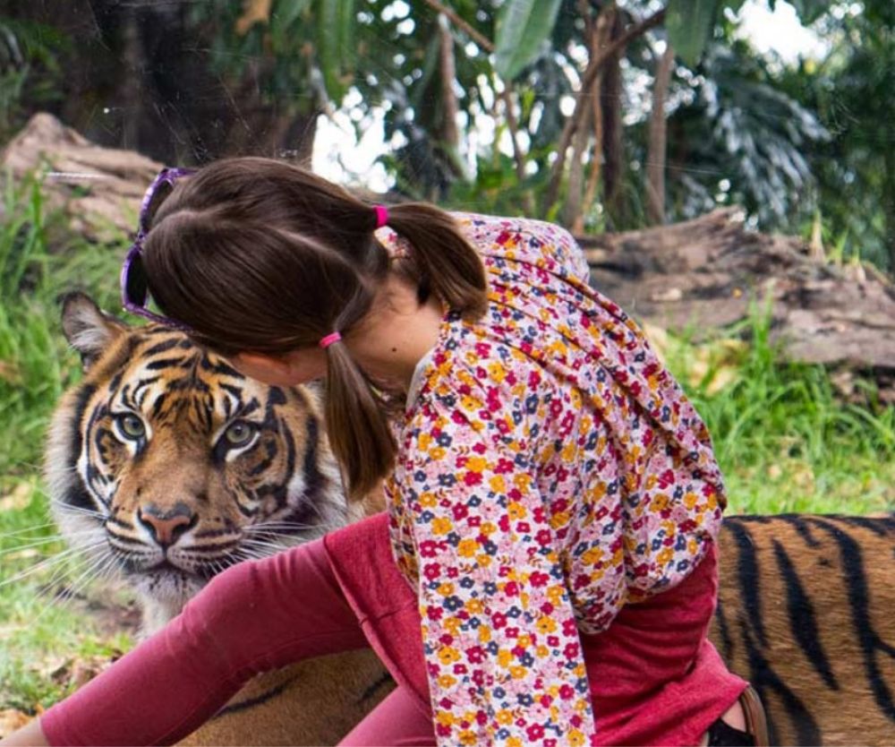 School holiday ice skating at Taonga Zoo Sydney