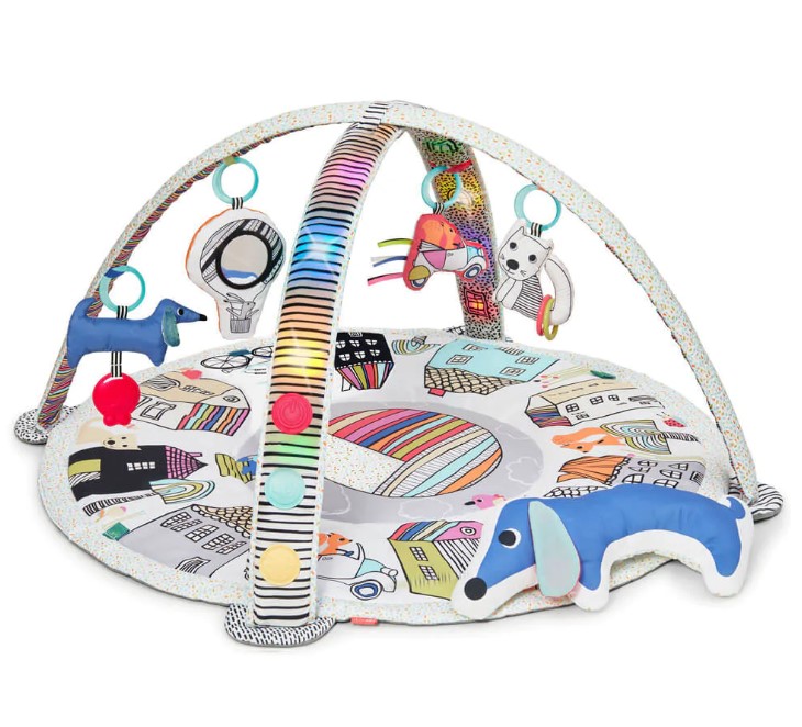 Skip Hop Activity Gym Vibrant Village